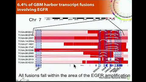 TCGA: The Somatic Genomic Landscape of Glioblastoma Multiforme - Roel Verhaak
