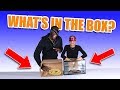 What's In The Box Challenge - UNDERWATER Version! (WARNING: I FAINT!)