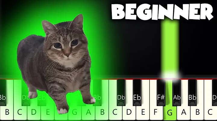 OIIA OIIA MEME SONG | BEGINNER PIANO TUTORIAL by Betacustic