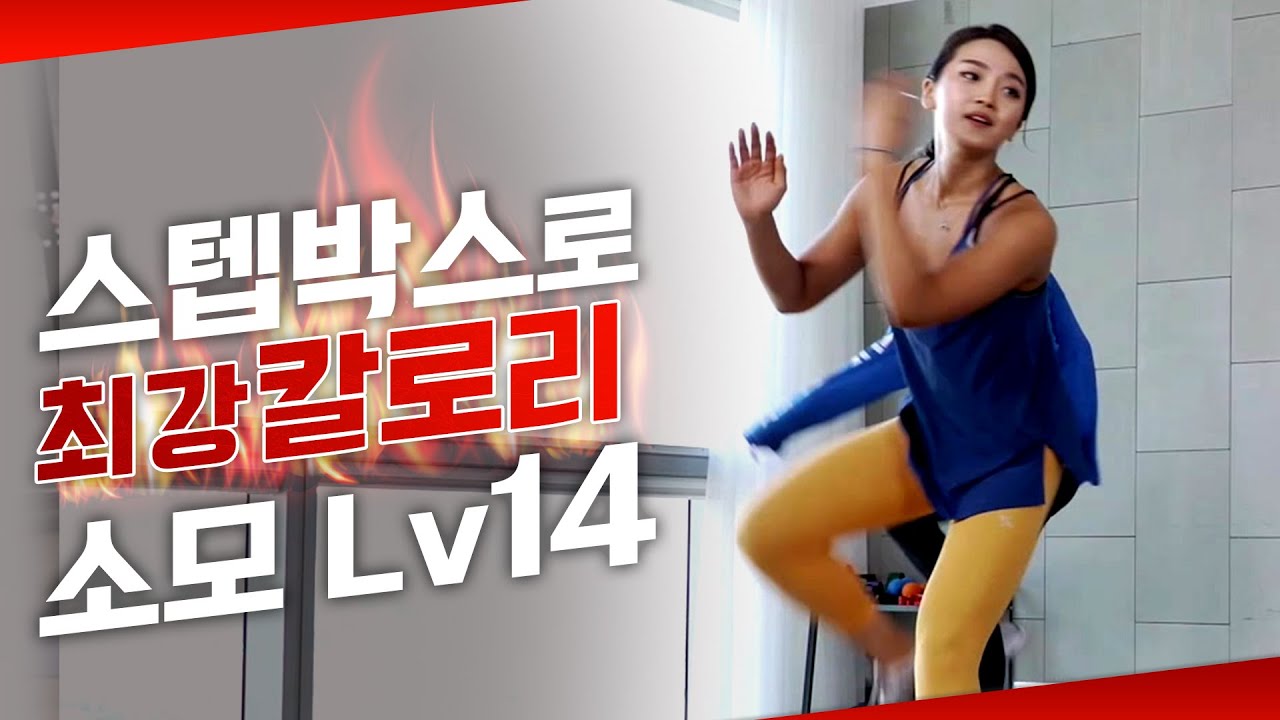 칼로리 소모 많은 운동! 최고의 살빼기운동!ㅣ스텝박스 전신 유산소