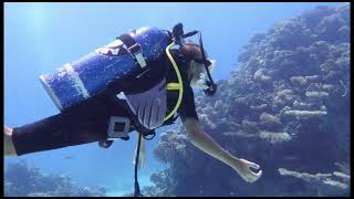 Diving in Hurghada  Diving Around is your ultimate destination for scuba diving in Hurghada