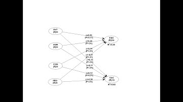WarpPLS 7.0.7: Multiple Regression with Four IVs and Two DVs