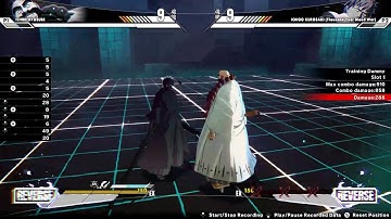 Testing Paint Over Guage With Ichibe Hyosube in Bleach Rebirth of Souls