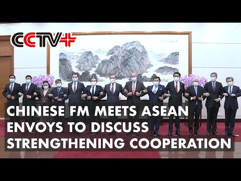 Chinese FM Meets