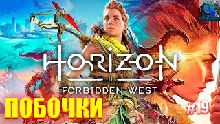 Horizon Forbidden West/Обзор/Полное прохождение#19/Побочки
