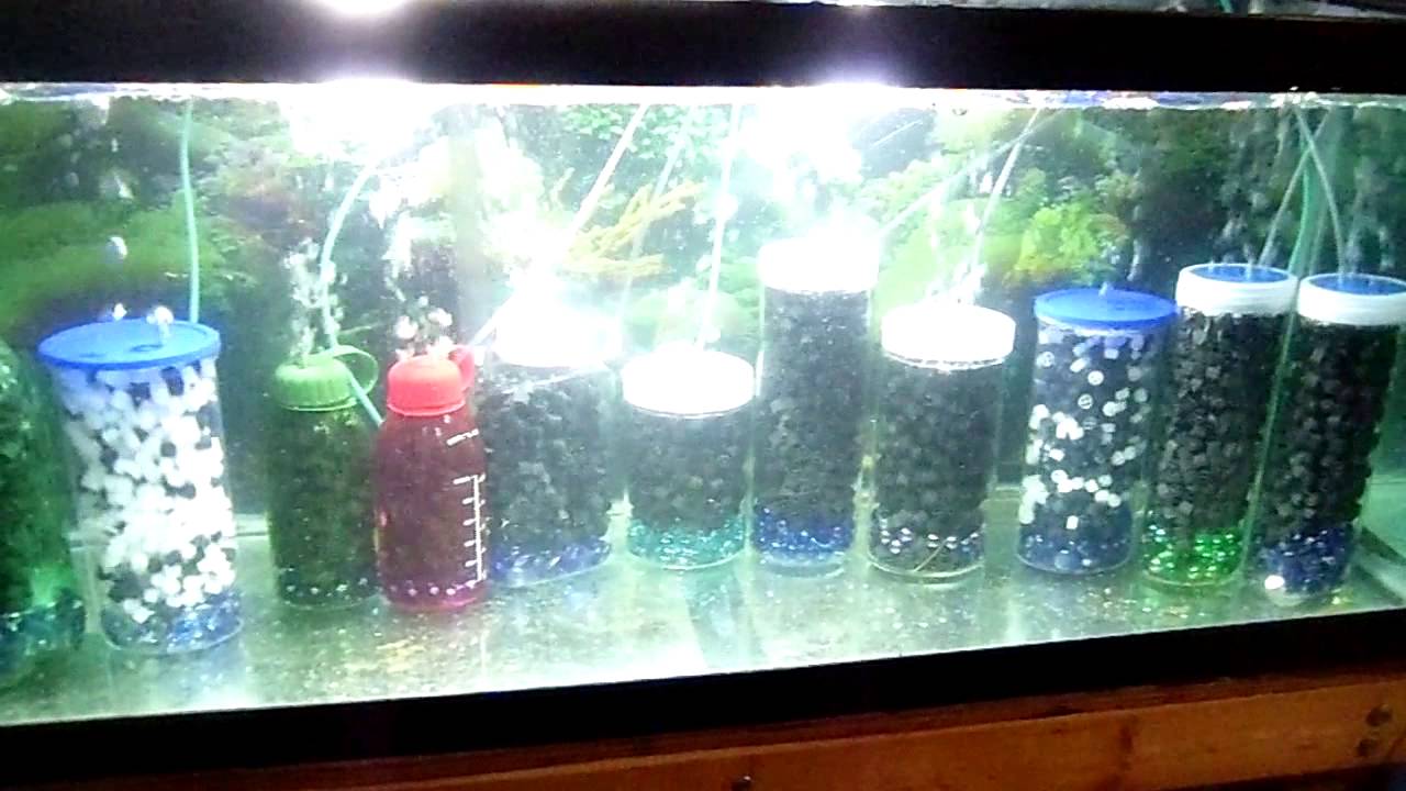 Kaldnes K1 media Moving bed filters YouTube