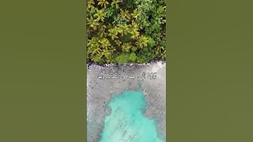 سورة الفرقان _ تلاوة هادئة تريح الاعصاب#تلاوة_خاشعة #راحة_نفسية #قرآن