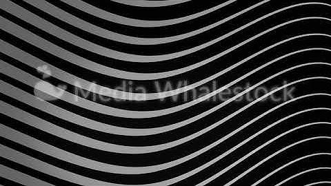 Graphic background of flowing lines in dynamic wave motion white on black, seamless loop. Animation