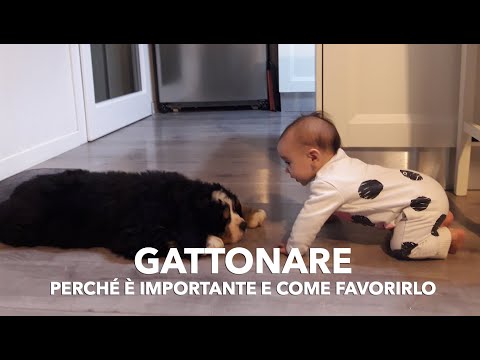 Video: A Che Età I Bambini Iniziano A Gattonare E A Sedersi?