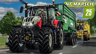 Pläne für die ZUKUNFT! RÜBEN und BAUMWOLLE kurz vor dem ZIEL | NF MARSCH #17 🌻| Farming Simulator 25
