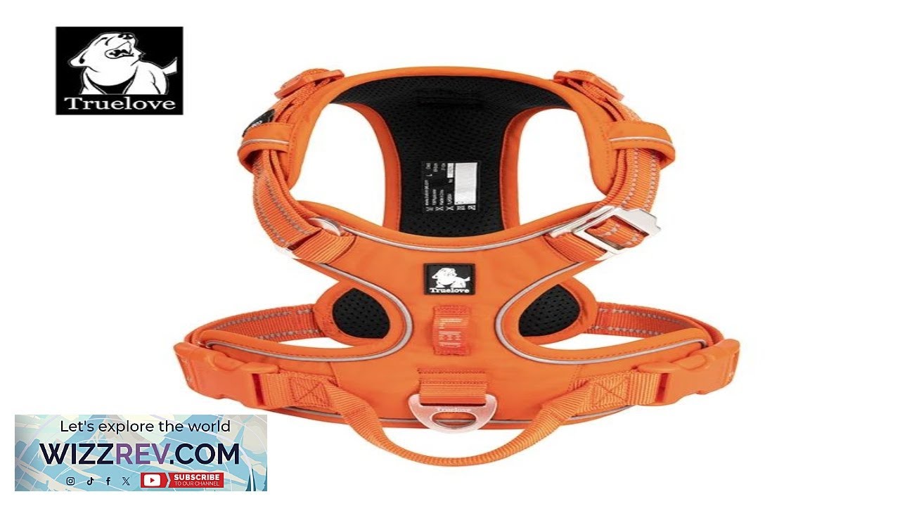 Шлейка для собак TRUE LOVE Pet Harness, нейлоновая, светоотражающая, регулируемая, удобная