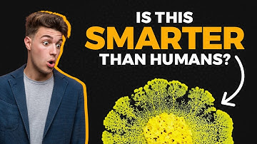 Slime Mold Intelligence: Smarter Than Humans?