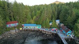 Northeast Vancouver island diving