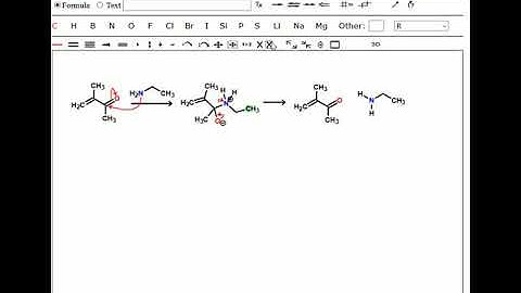 Conjugate Addition of an Amine