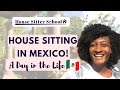 A Day In The Life Of A House Sitter in Mexico | House Sitter School 🏡 Lesson 3