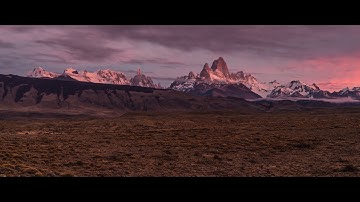 NIVIRO -  Heart Of Courage (Official Music Video)