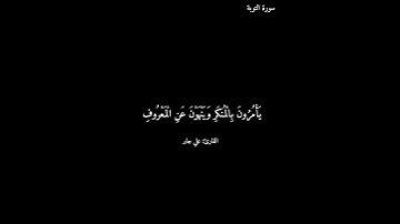 سورة التوبة/#علي_جابر