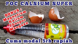 pupuk KALSIUM CAIR SUPER CUMA MODAL 5RB RUPIAH