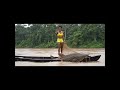 😱🐟 O PEIXE Gigante! A PESCADORA E O TUBARÃO DE ÁGUA DOCE 😱 #pescaria #fishing #pesca #peixes
