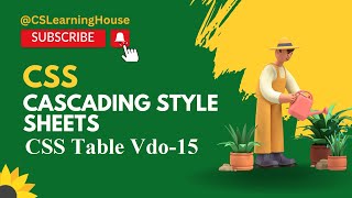 How to give styling to Table with CSS in Urdu / Hindi Vdo-15