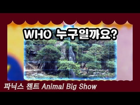 Quiz I 사자 Lion I Animal Big Show 3회