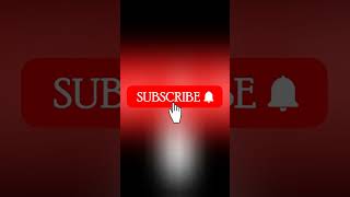 Fenner automotive belt 8Pk