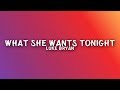 Luke Bryan - What She Wants Tonight (Lyrics)