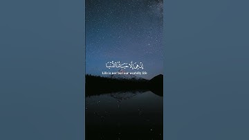 سورة المؤمنين بصوت ياسر الدوسري ♥️🕋#سورة_المؤمنون #قرآن
