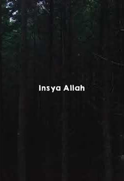INSYA ALLAH || version story WA #storywa #storiwhasapp #shorts #wa