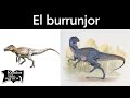 El burrunjor  | Relatos del lado oscuro