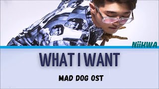 NiiHWA (니화) - What I Want OST Cachorro Louco (Mad Dog)