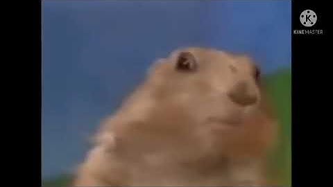 SHOCK funny Meme Clip for Video Editing | NO COPYRIGHT