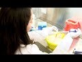 Type 1 diabetes therapy shows promise for long-term reversal Type 1 diabetes therapy shows promise for long-term reversal