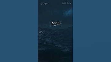 { أمن يهديكم في ظلمات البر والبحر … } تلاوة من سورة النمل - عمر مخير