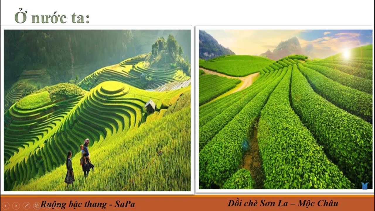 Video Bài giảng Môn Hoạt động trải nghiệm lớp 1: Quê hương tươi đẹp