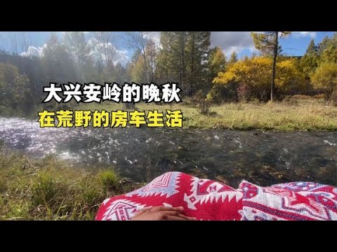 露营户外在晚秋的大兴安岭油画里，小溪边露营晒太阳，房车旅行好棒