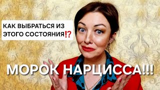 видео: Морок нарцисса! Как выбраться из этого состояния? картинка: Морок нарцисса! Как выбраться из этого состояния?