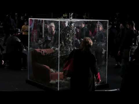 ყინვის საწინააღმდეგოდ შეფუთული ციტრუსის ხეები, მარიამ აქუბარდია,   2019