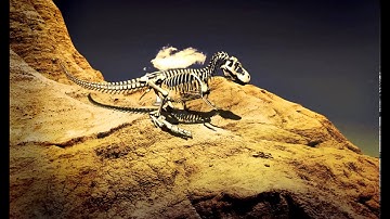 T-REX  - maya animation