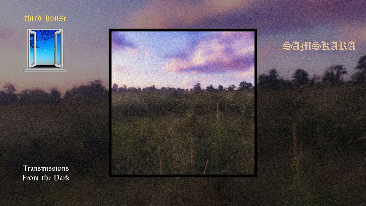 Samskara - Friendship Fields (single, 2023)