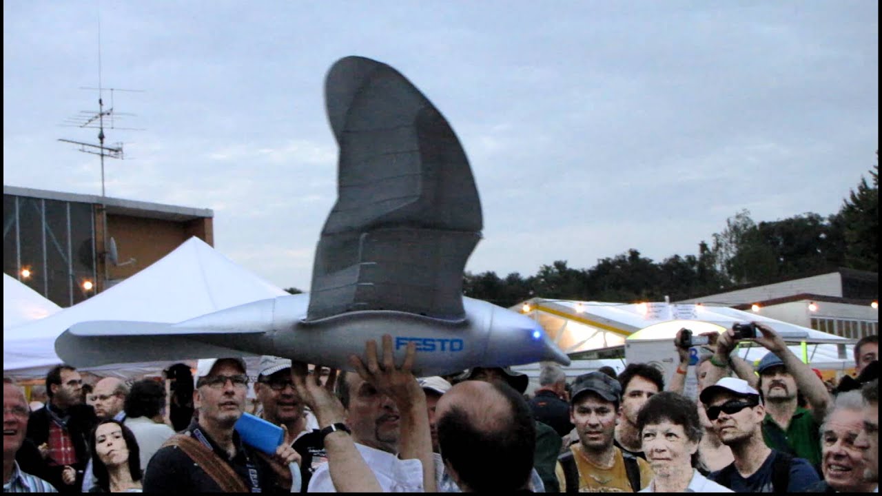 Festo SmartBird: Close-by [HD] - YouTube