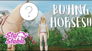 Buying Horses Shopping Spree🐴 - Star Stable