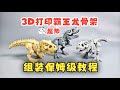 3D打印超帅霸王龙骨架模型，组装保姆级教程！可动、好玩、有趣~