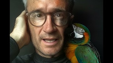 Stochastic Parrot. How all LLM AI works. An introduction to the hidden bias of large language models