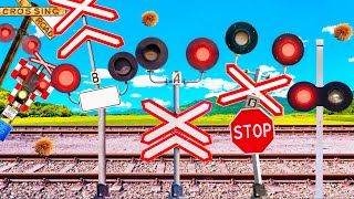 【踏切アニメ】森ではぐれた仲間を捜索するふみきりカンカン😂😂😂Railroad Crossing Searching for Lost Companions in the Forest!!