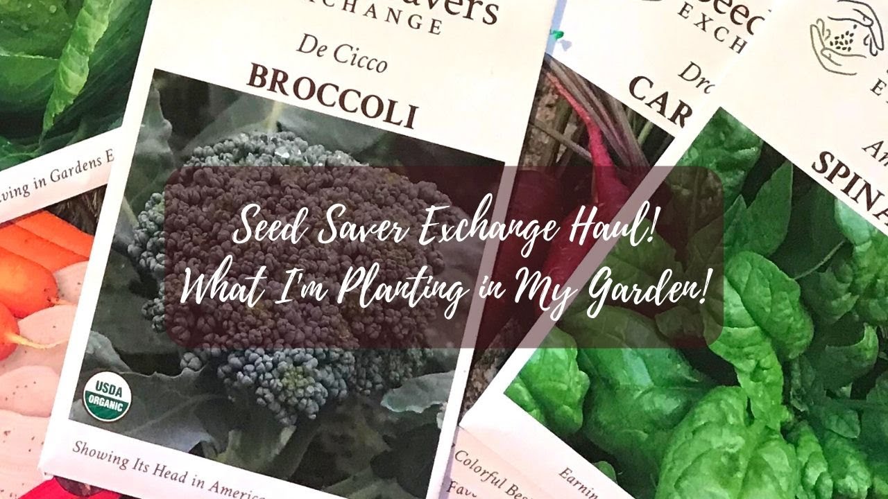 What I'm Planting in My Garden| Seed Saver Haul