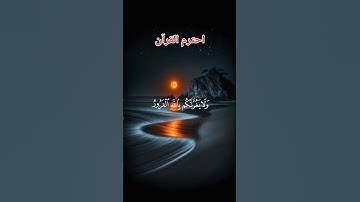 احترم القرآن#قرآن #المصحف #قران_كريم#راحة_نفسية#تلاوة_القرآن#تلاوة_خاشعة#ترتيل_القرآن