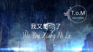 Wo You Xiang Ni Le 我又想你了 Lyrics Pinyin - Liu Yi Chen 刘奕辰 ( MANDARIN SONG )