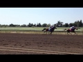 Sonoma County Fair