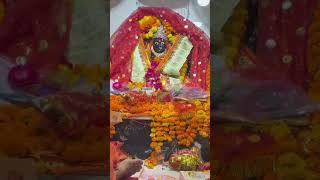 Jaii Sheetla Mata 🙏🏻 #bhakti #dailyvlog